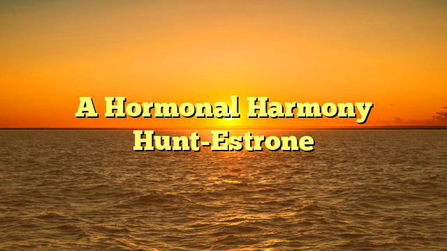 A Hormonal Harmony Hunt-Estrone