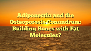 Adiponectin and the Osteoporosis Conundrum: Building Bones with Fat Molecules?