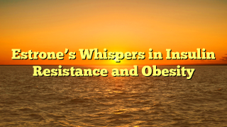 Estrone’s Whispers in Insulin Resistance and Obesity