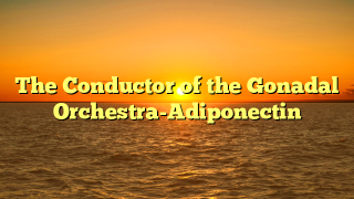 The Conductor of the Gonadal Orchestra-Adiponectin