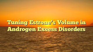 Tuning Estrone’s Volume in Androgen Excess Disorders