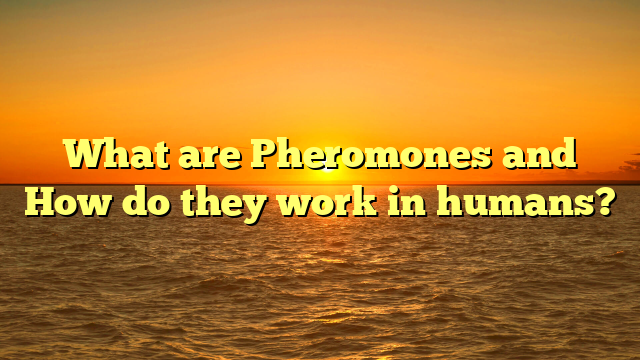 What are Pheromones and How do they work in humans?