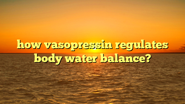 how vasopressin (ADH) regulates body water balance?