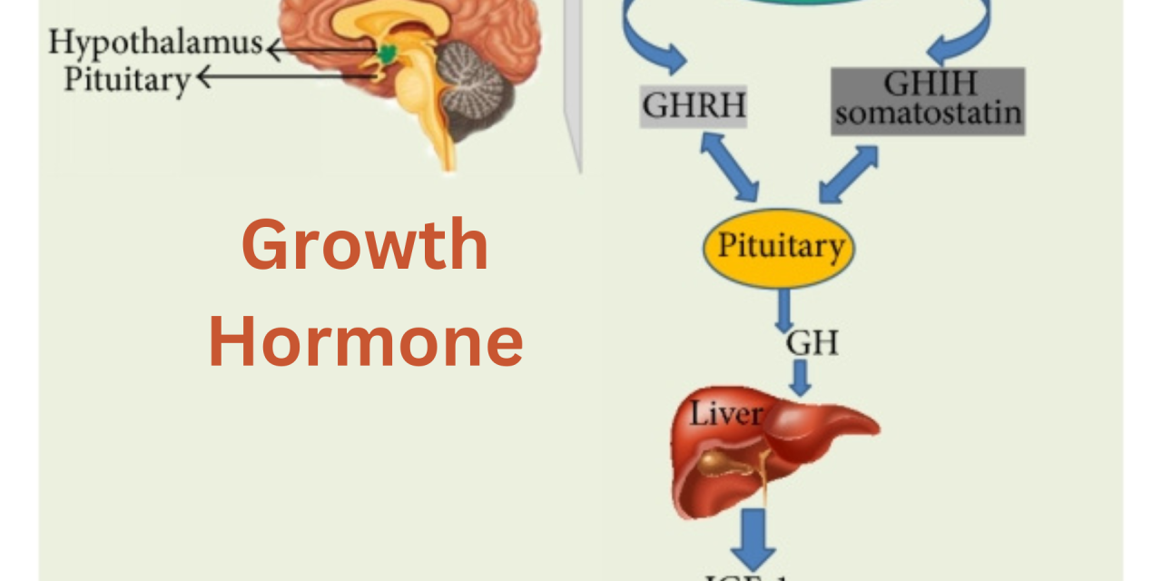 Hidden Factors in Professional Advancement Linked to Growth Hormone Variability