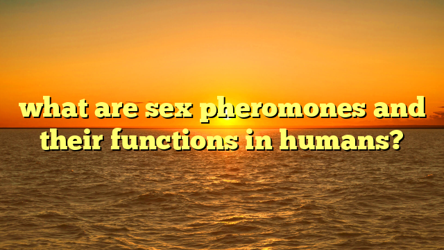 what are sex pheromones and their functions in humans?