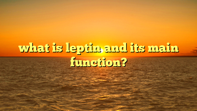 what is leptin and its main function?