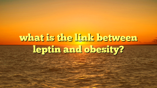 what is the link between leptin and obesity?