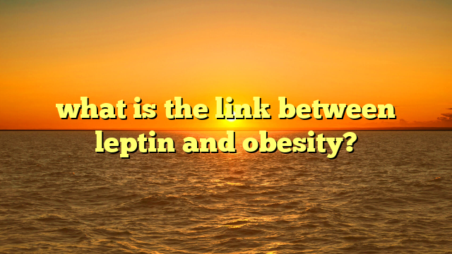 what is the link between leptin and obesity?