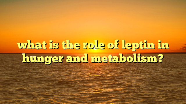 what is the role of leptin in hunger and metabolism?